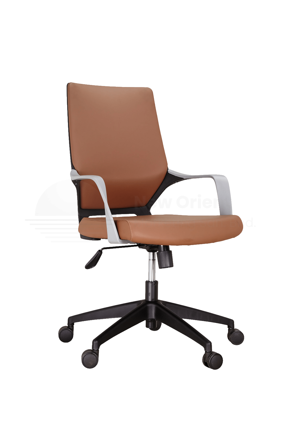 Director Chair Medium Back