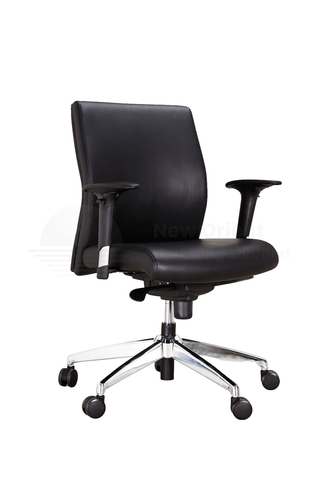 Director Medium Back Chair